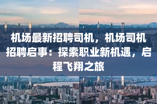 机场最新招聘司机，机场司机招聘启事：探索职业新机遇，启程飞翔之旅