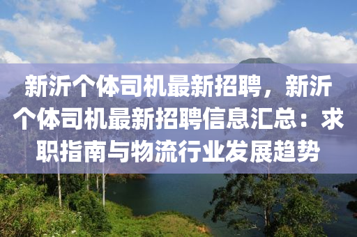 新沂个体司机最新招聘，新沂个体司机最新招聘信息汇总：求职指南与物流行业发展趋势