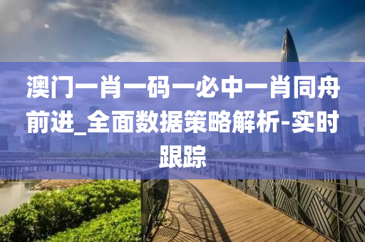 澳门一肖一码一必中一肖同舟前进_全面数据策略解析-实时跟踪