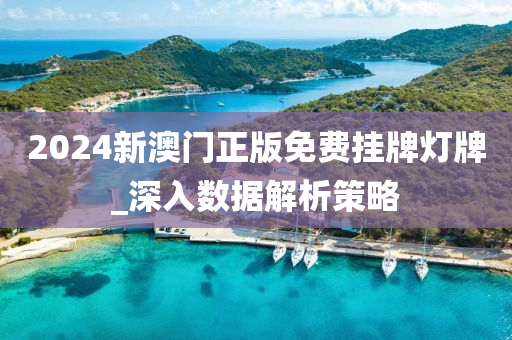 2024新澳门正版免费挂牌灯牌_深入数据解析策略
