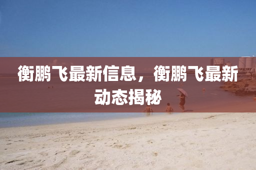 衡鹏飞最新信息，衡鹏飞最新动态揭秘