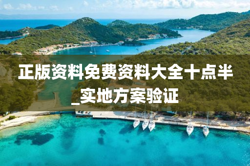 正版资料免费资料大全十点半_实地方案验证