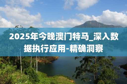 2025年今晚澳门特马_深入数据执行应用-精确洞察