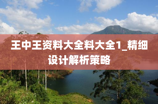 王中王资料大全料大全1_精细设计解析策略