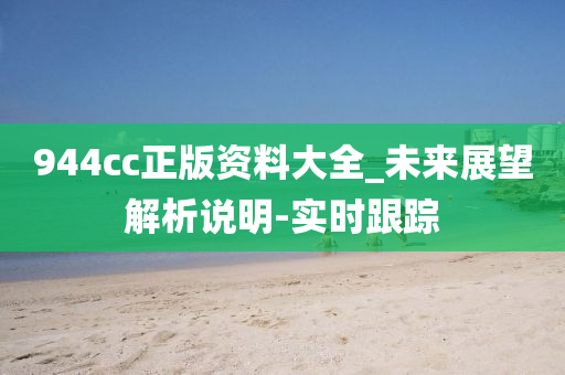 944cc正版资料大全_未来展望解析说明-实时跟踪