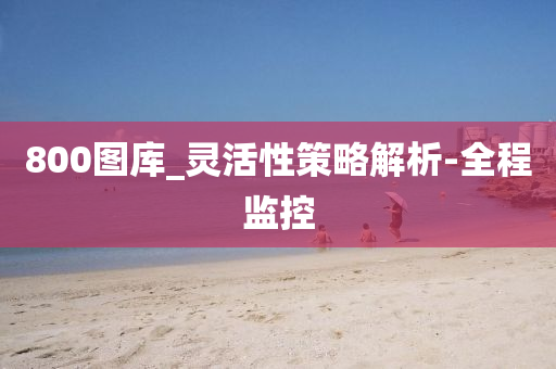 800图库_灵活性策略解析-全程监控