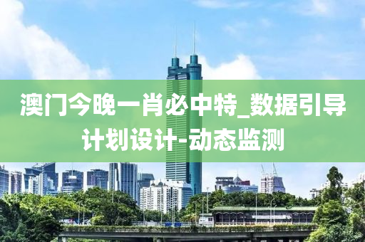 澳门今晚一肖必中特_数据引导计划设计-动态监测