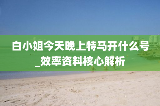 白小姐今天晚上特马开什么号_效率资料核心解析