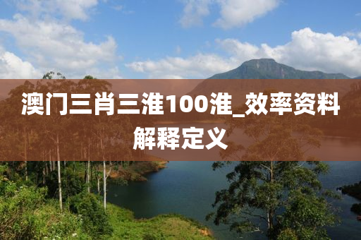 澳门三肖三淮100淮_效率资料解释定义