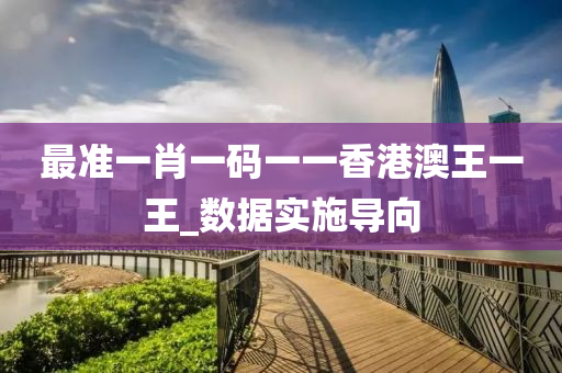 最准一肖一码一一香港澳王一王_数据实施导向