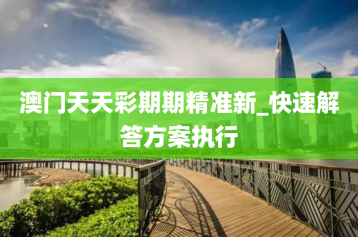澳门天天彩期期精准新_快速解答方案执行