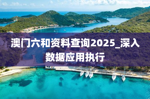 澳门六和资料查询2025_深入数据应用执行