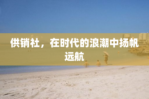 供销社，在时代的浪潮中扬帆远航