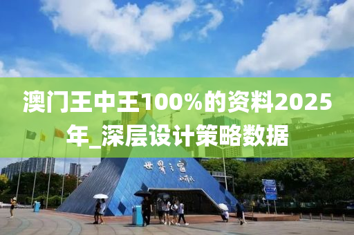 澳门王中王100%的资料2025年_深层设计策略数据