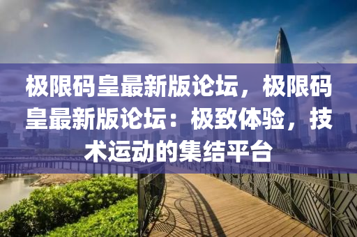极限码皇最新版论坛，极限码皇最新版论坛：极致体验，技术运动的集结平台