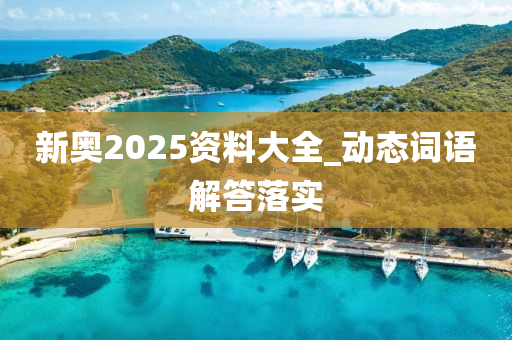 新奥2025资料大全_动态词语解答落实