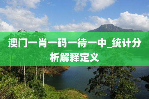 澳门一肖一码一待一中_统计分析解释定义