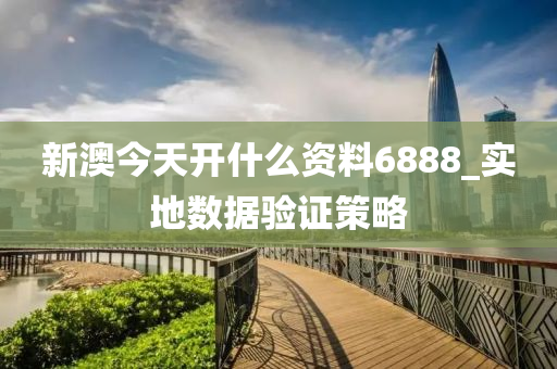 新澳今天开什么资料6888_实地数据验证策略