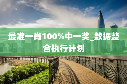 最准一肖100%中一奖_数据整合执行计划
