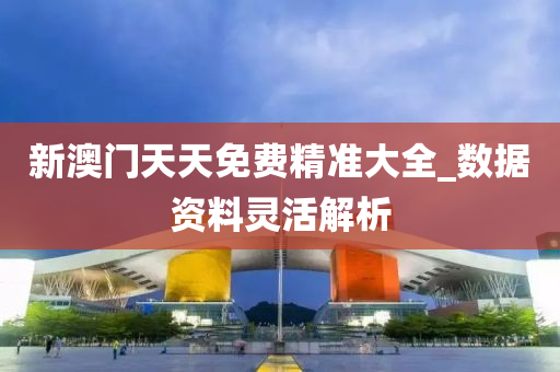 新澳门天天免费精准大全_数据资料灵活解析