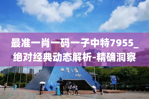 最准一肖一码一子中特7955_绝对经典动态解析-精确洞察