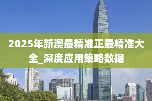2025年新澳最精准正最精准大全_深度应用策略数据