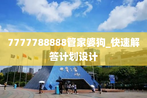 7777788888管家婆狗_快速解答计划设计