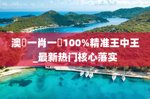 澳門一肖一碼100%精准王中王_最新热门核心落实
