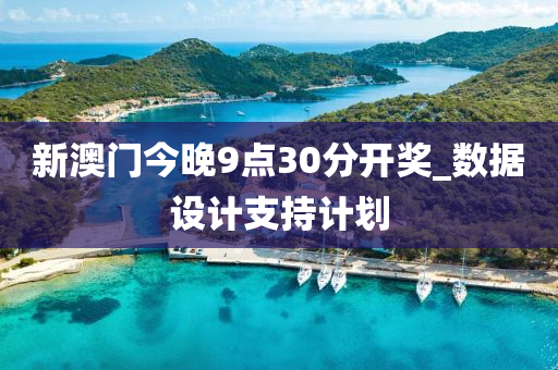 新澳门今晚9点30分开奖_数据设计支持计划