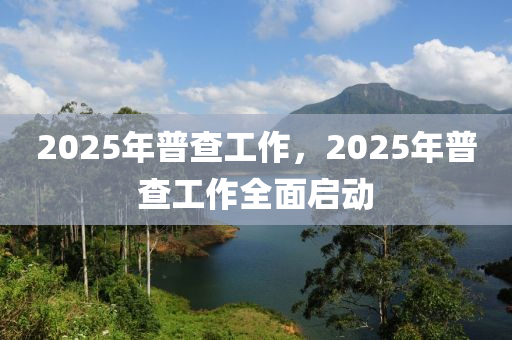 2025年普查工作，2025年普查工作全面启动