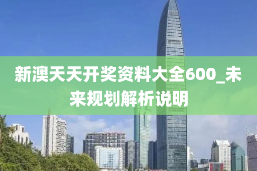 新澳天天开奖资料大全600_未来规划解析说明