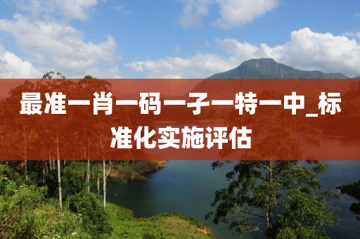 最准一肖一码一孑一特一中_标准化实施评估