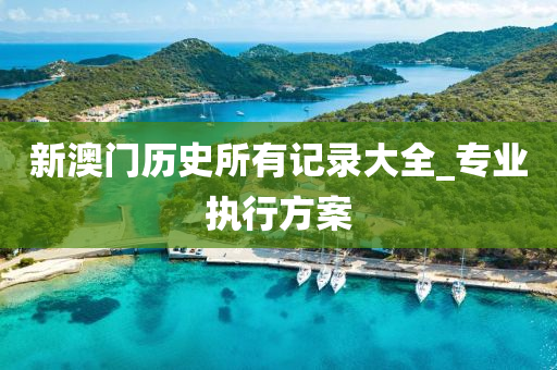 新澳门历史所有记录大全_专业执行方案