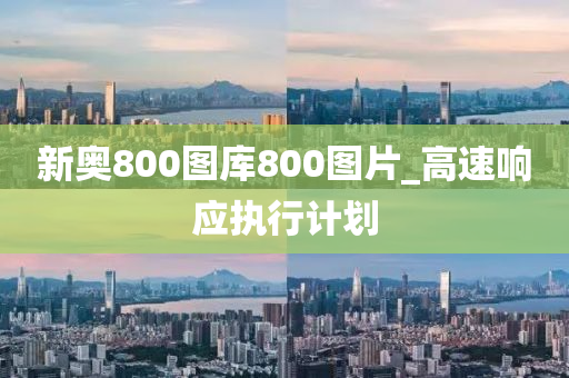 新奥800图库800图片_高速响应执行计划