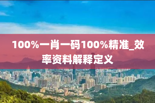 100%一肖一码100%精准_效率资料解释定义