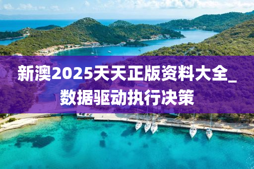 新澳2025天天正版资料大全_数据驱动执行决策