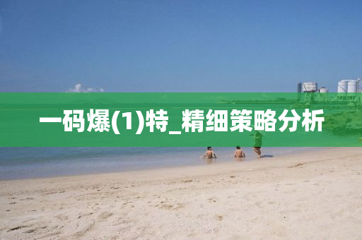 一码爆(1)特_精细策略分析