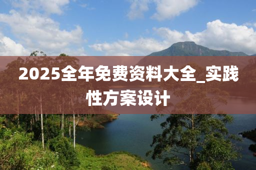 2025全年免费资料大全_实践性方案设计
