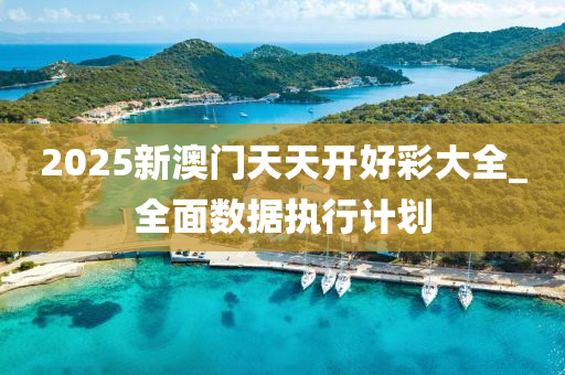 2025新澳门天天开好彩大全_全面数据执行计划