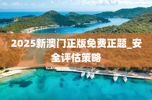 2025新澳门正版免费正题_安全评估策略