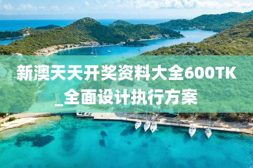 新澳天天开奖资料大全600TK_全面设计执行方案