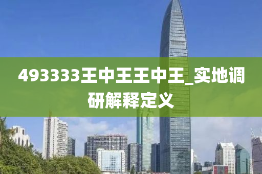 493333王中王王中王_实地调研解释定义