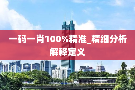 一码一肖100%精准_精细分析解释定义