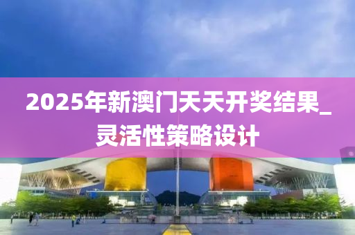 2025年新澳门天天开奖结果_灵活性策略设计