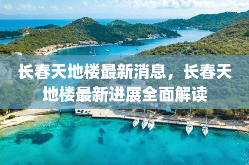 长春天地楼最新消息，长春天地楼最新进展全面解读