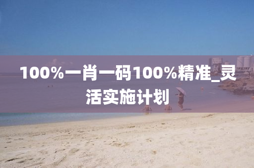 100%一肖一码100%精准_灵活实施计划