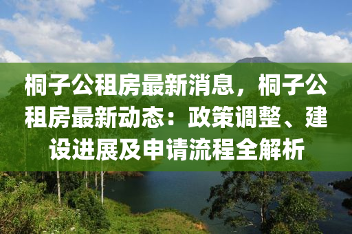 桐子公租房最新消息，桐子公租房最新动态：政策调整、建设进展及申请流程全解析