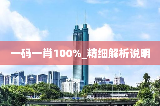 一码一肖100%_精细解析说明