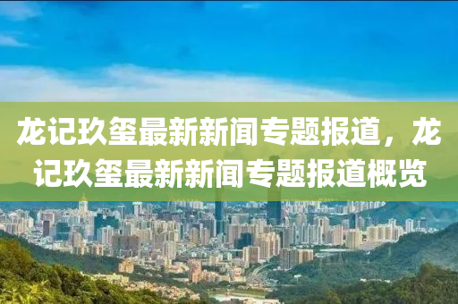 龙记玖玺最新新闻专题报道，龙记玖玺最新新闻专题报道概览