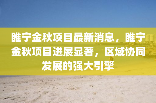 睢宁金秋项目最新消息，睢宁金秋项目进展显著，区域协同发展的强大引擎